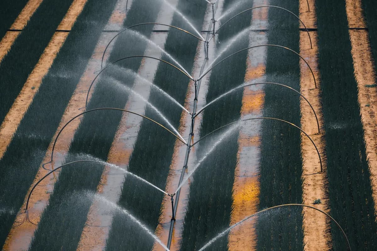 Aerial view of irrigated farmland with pivot irrigation arcs across dry soil